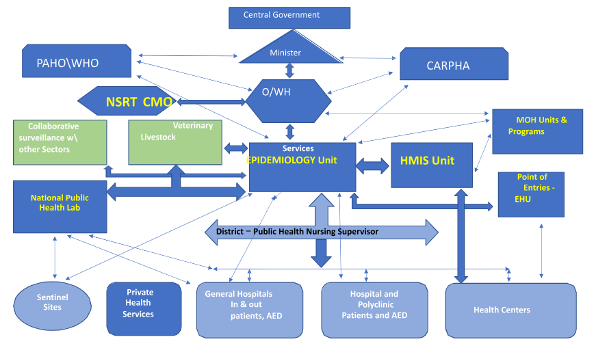 Organogram